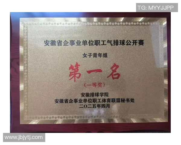 深圳排球队在全国排球速度排行榜中荣获第六名的佳绩引发关注